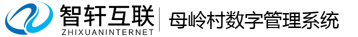 母岭村数字管理系统